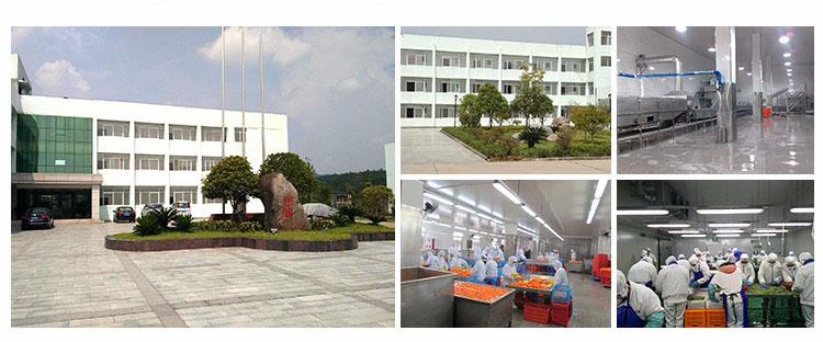 XMSDfood frozen vegetable company profile