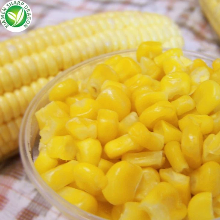 Furnizor și producător de porumb dulce congelat IQF în China|XMSD