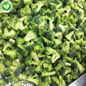 Tipul de legume broccoli