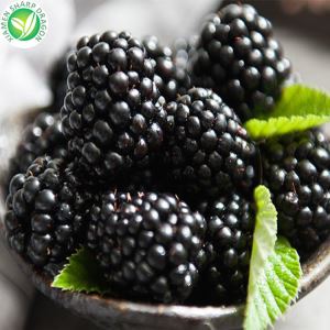 IQF cu ridicata Blackberry Frozen