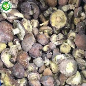 Suillus Granulatus congelat IQF