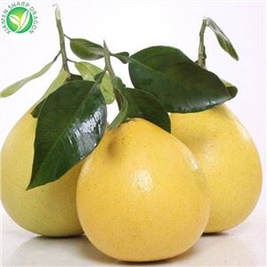 Noul sezon grapefruit de aprovizionare