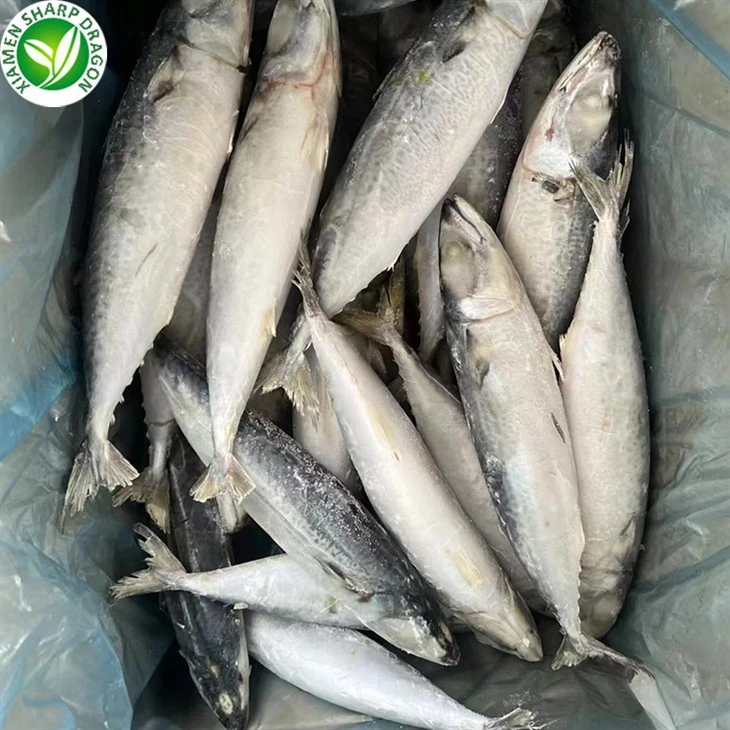 Frozen Whole Round Horse Mackerel