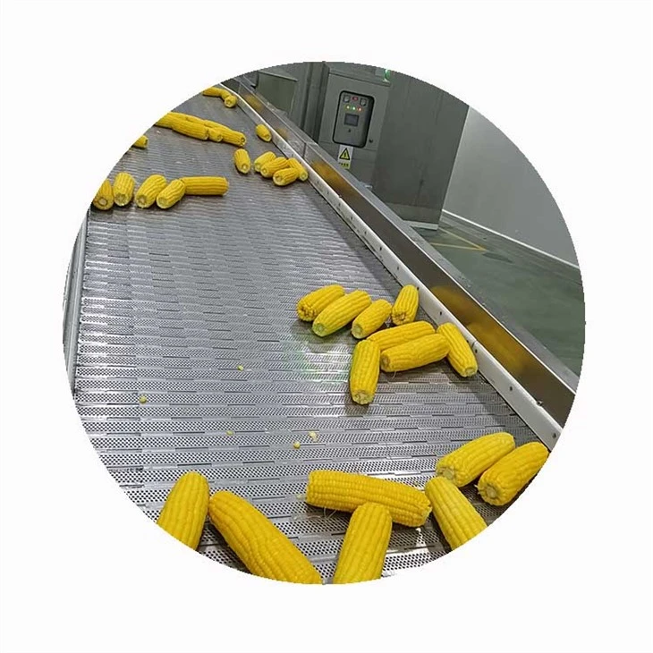 frozen sweet corn for food processing