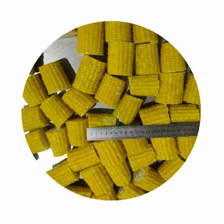frozen sweet corn exporter